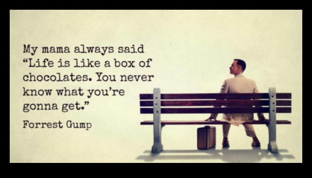 חלבון ותפקוד קוגניטיבי: הזנת בריאות המוח