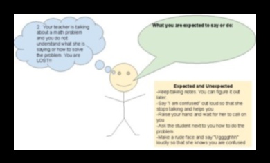 חלבון ותפקוד קוגניטיבי: הזנת בריאות המוח