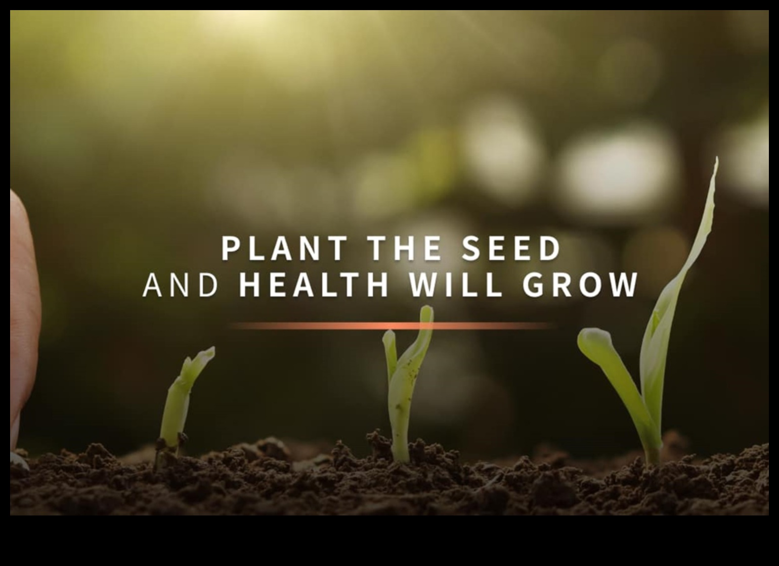 קציר בריאות: זריעת זרעים של הצלחה עם ייעוץ תזונה