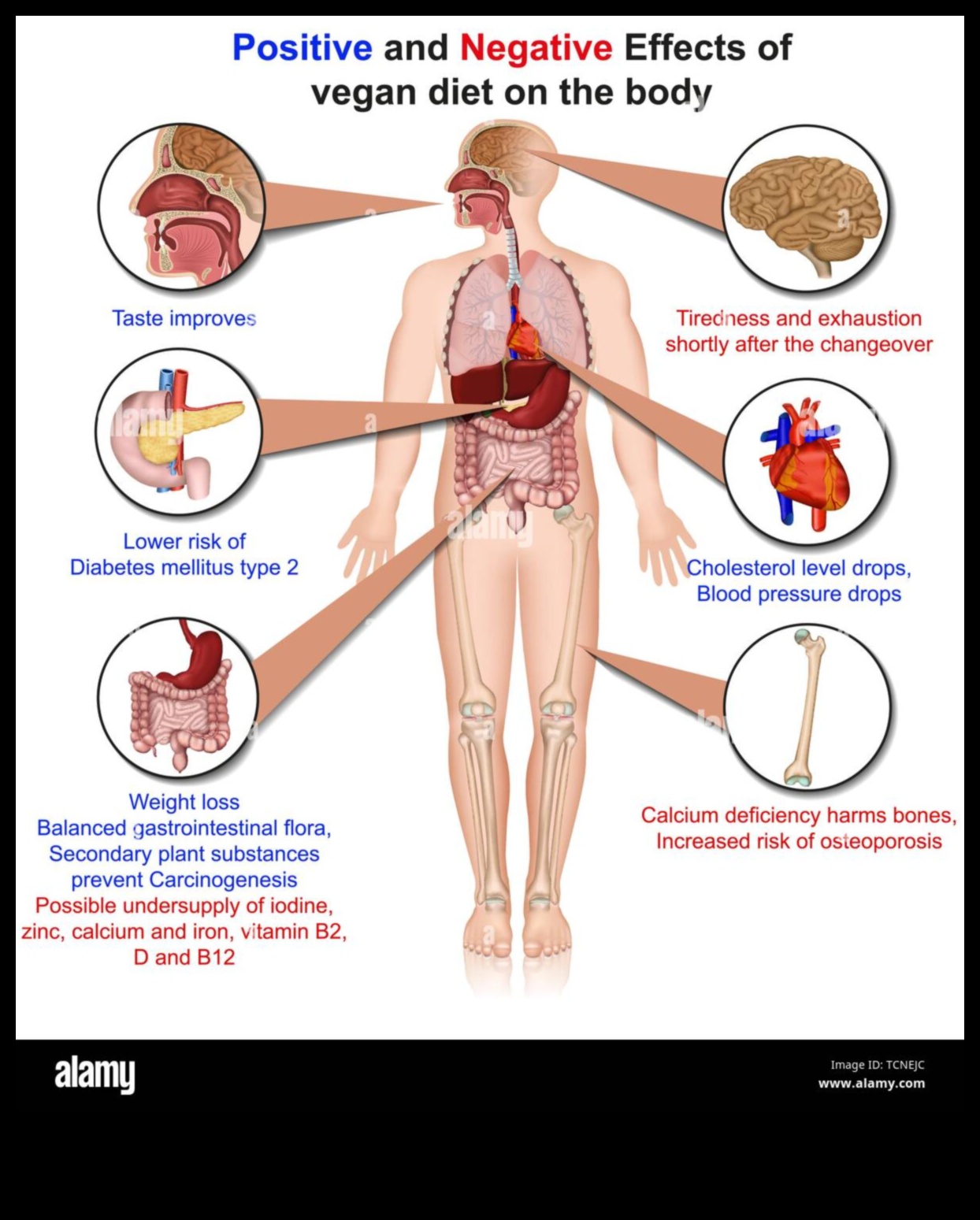 טבעונות ודימוי גוף חיובי: טיפוח אהבה עצמית