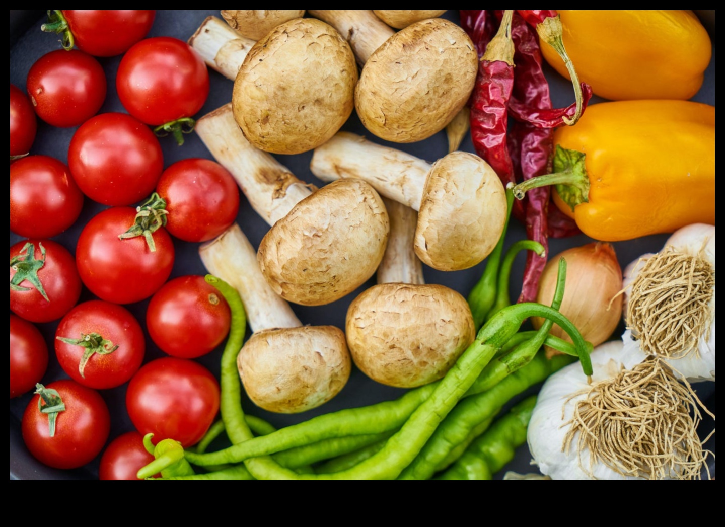 הסימפוניה התזונתית: הרמוניה לבריאות עם ייעוץ מומחים