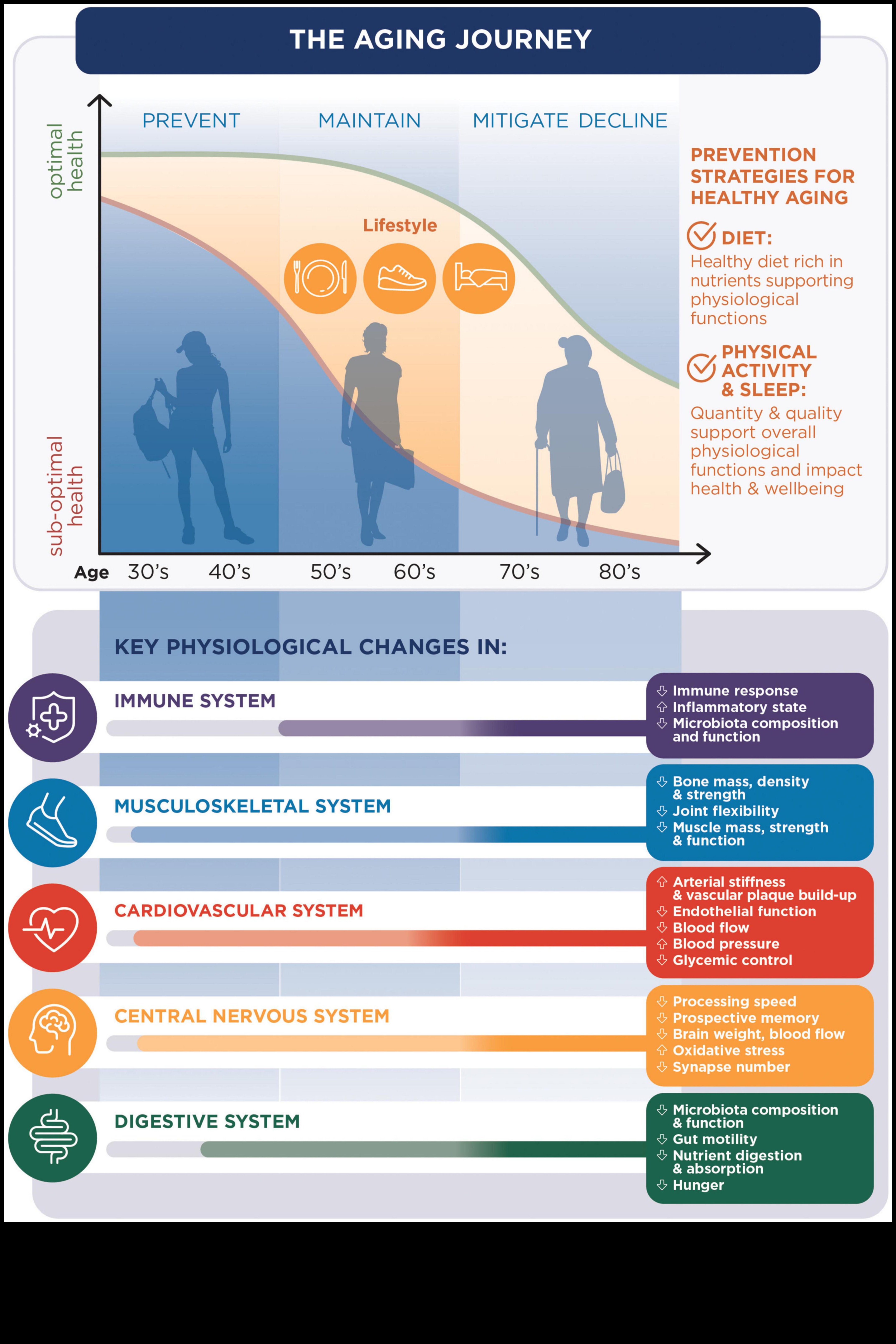 בחירות נבונות להזדקנות בריאה: טיפים לתזונה גריאטרית