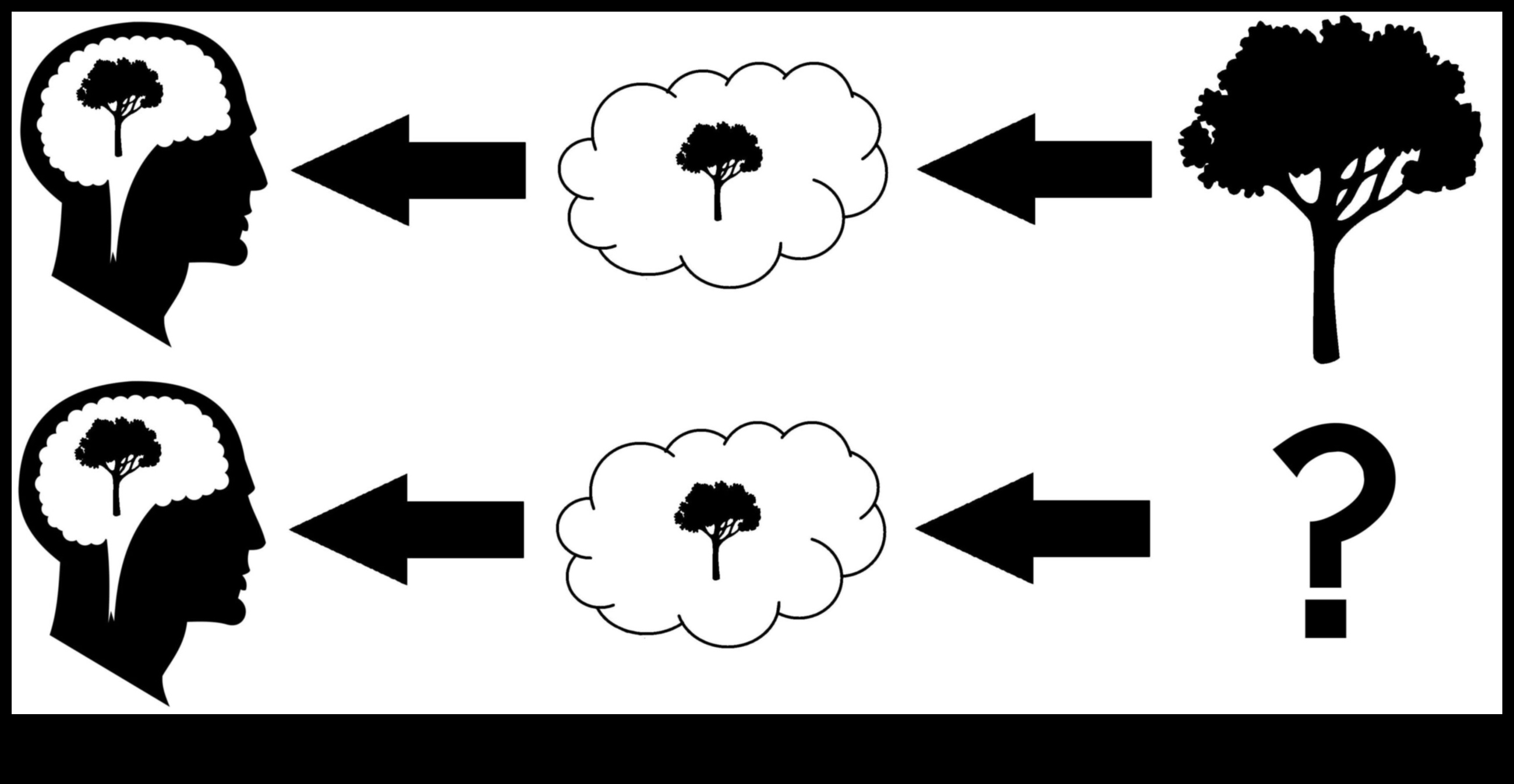 אמת חזותית: השפעת הריאליזם על תפיסת הצופים