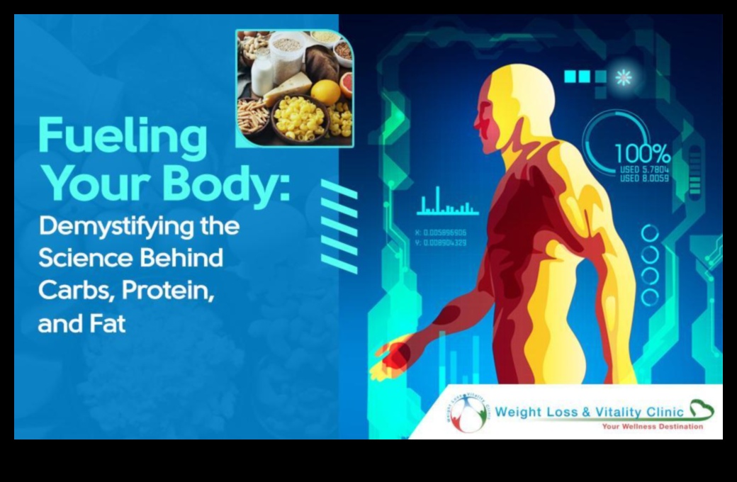 תדלוק אנרגיה: תפקידן של פחמימות בחיוניות