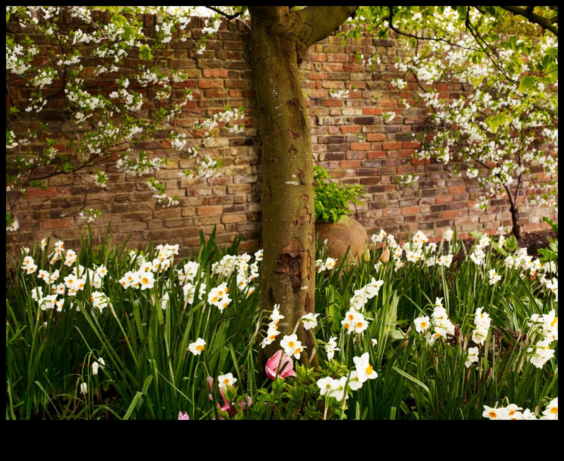 פריחה ופריחה: שלמות משתלת פרחונית