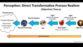 אמת חזותית: השפעת הריאליזם על תפיסת הצופים