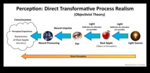 אמת חזותית: השפעת הריאליזם על תפיסת הצופים