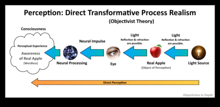 אמת חזותית: השפעת הריאליזם על תפיסת הצופים