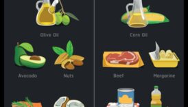 דיאטות דלות פחמימות והחשיבות של שומנים בריאים