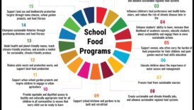 הצלחת המכילה: אסטרטגיות תזונה לבריאות הציבור לכולם