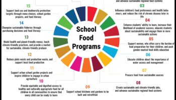 הצלחת המכילה: אסטרטגיות תזונה לבריאות הציבור לכולם