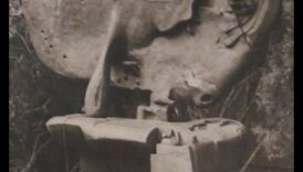 יצירות מופת מטמורפיות: הפיכת הגוף לאמנות