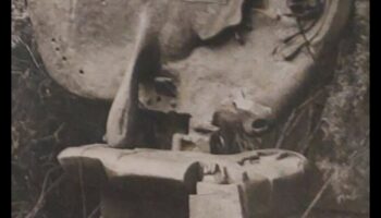 יצירות מופת מטמורפיות: הפיכת הגוף לאמנות