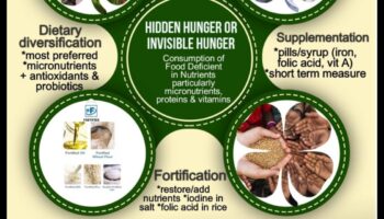 המיקרו-נוטריינטים חשובים: שילוב ויטמינים ומינרלים