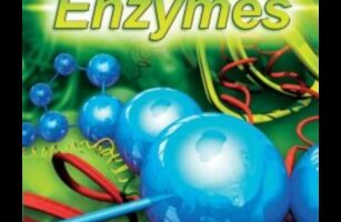 מצוינות אנזימטית: ניווט במסלולי ביוכימיה תזונתיים