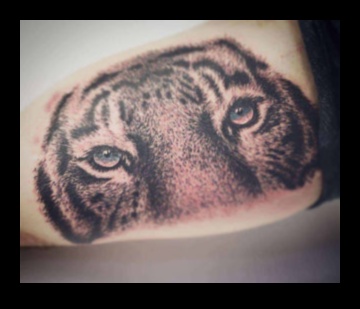 מציאות על העור: קעקועים של ריאליזם שמספרים את הסיפור שלך