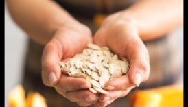 קציר בריאות: זריעת זרעים של הצלחה עם ייעוץ תזונה